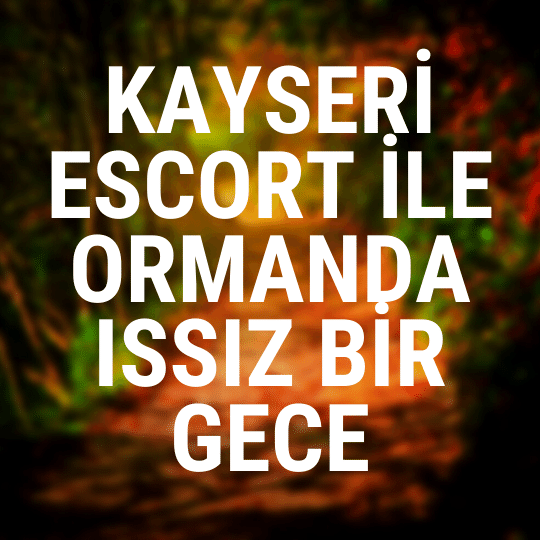 Kayseri Escort İle Ormanda Issız Bir Gece